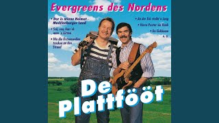 Video thumbnail of "De Plattfööt - An Der Eck Steihtn Jung"