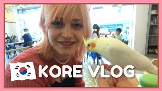 Korede Kuş Kafeye Gittik