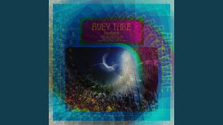 Video thumbnail of "Avey Tare - When You Left Me"