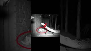 PYTHON ATTACK CAUGHT ON CAM | Creepy CCTV Footage Videos #creepy #horror #cctvcamera