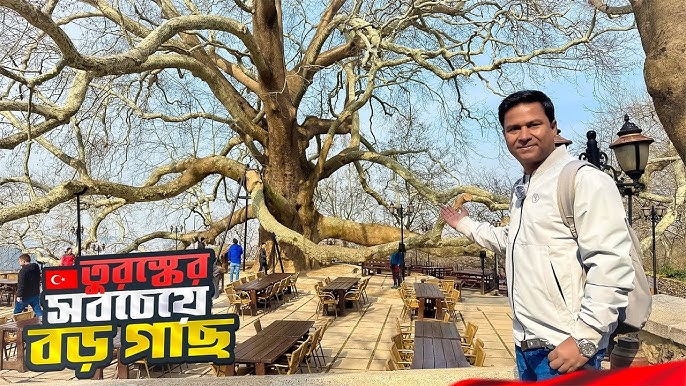 Yalangoch Maksim Konovalov