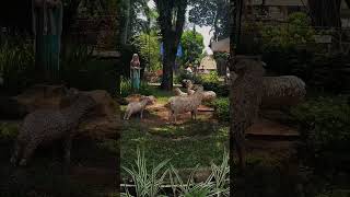 Wisata Rohani Gua Kerep Maria Ambarawa