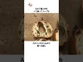 【この時代だけは嫌だ】あまりにも険しすぎる時代、中世ヨーロッパの雑学