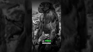 La Edad De Piedra  curiosidadesdelahistoria