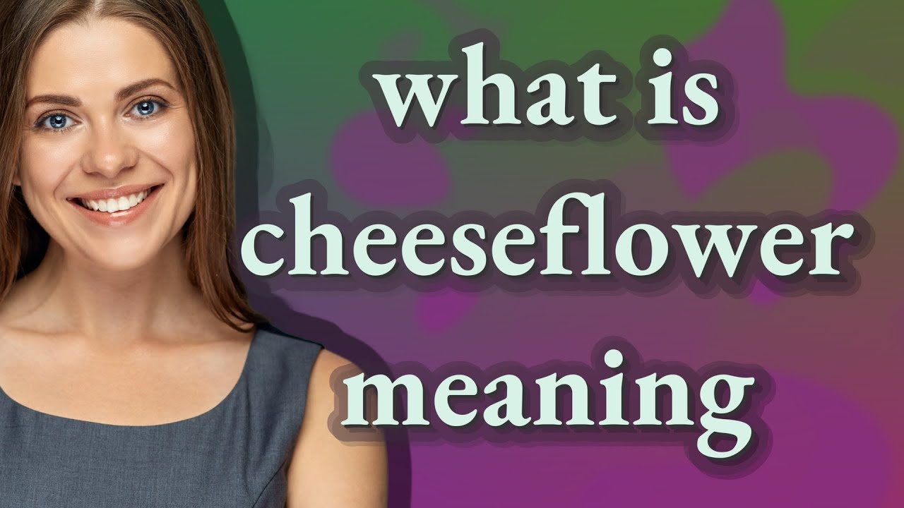 Cheeseflower | meaning of Cheeseflower