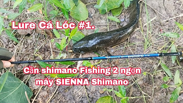 Câu Cá Lóc Lure Cá Lóc P1.Cần Shimano Fishing 2 Ngọn.Máy SIENNA Shimano FGSIZE C300/