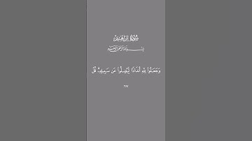 سورة ابراهيم#quran #quran_alkarim #quranvideo #surah #sura #قران #قران_كريم #قران_كريم_ارح_سمعك