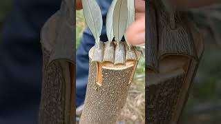 Download Lagu September 29, 2025 MP3