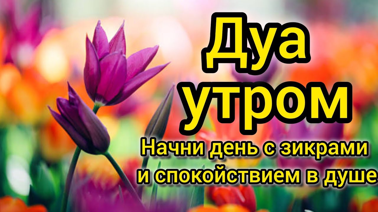 УТРЕННИЙ ДУА أذكار الصباح ЗАЩИТИТЬ ВАС ВЕСЬ ДЕНЬ | СЛУШАЙТЕ КАЖДОЕ УТРО! #quran