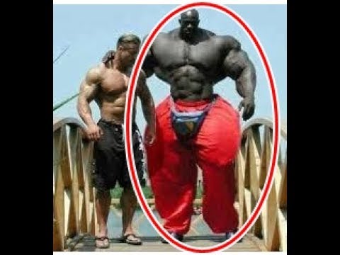 世界衝撃 ハルクもびびる 世界一とされる巨人 世界最大級の筋肉をもつ男 Youtube