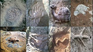 اذا وجدت هذه الرموز والاشارات على الصخور فأعلم انها مليئة بالكنوز / دلائل رموز الصخور - كنوز ودفائن