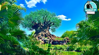 Disney's Animal Kingdom 26th Anniversary 2024 | Kilimanjaro Safari, Animals and Everest! 4K