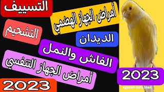 علاج جميع امراض طيور الكناري