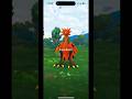 ✨THIS was NUTS 🥜🔥!NEW 7KM Eggs Pokémon GO #shorts #shinypokemon #mobilegame  #adventure #pokemongo