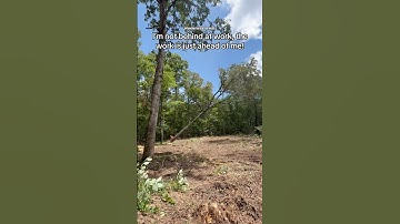 That’s right c’mon! 😂 #bigtextrailers #treeremovalservices #chainsaw #skidsteer #like #subscribe