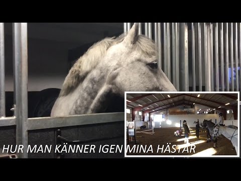 Video: Hur Man Känner Igen Avund