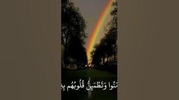 الشيخ ماهر المعيقلي-سورة الرعد آيه ٢٨