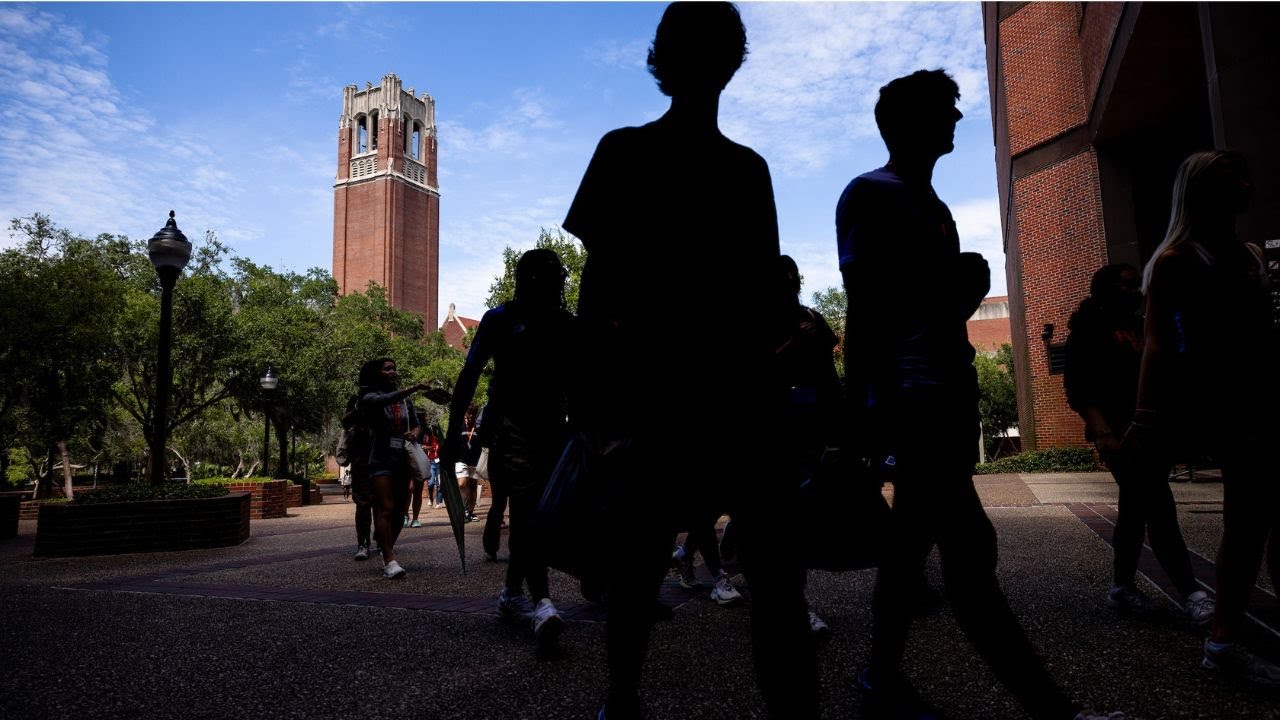 Preview at the University of Florida