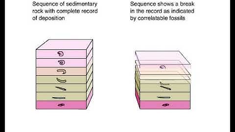 Disconformity With Fossils Animation