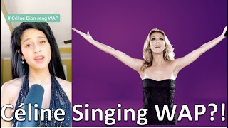 If Céline Dion Sang WAP (short version)