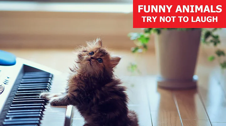 FUNNY ANIMALS #23 | Awesome Pet Videos | Fails | Reactions | Try Not To Laugh | ANIMALS FUN CLUB