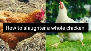 HOW TO SLAUGHTER WHOLE CHICKEN/ AFRICAN WAY OF SLAUGHTERING A CHICKEN