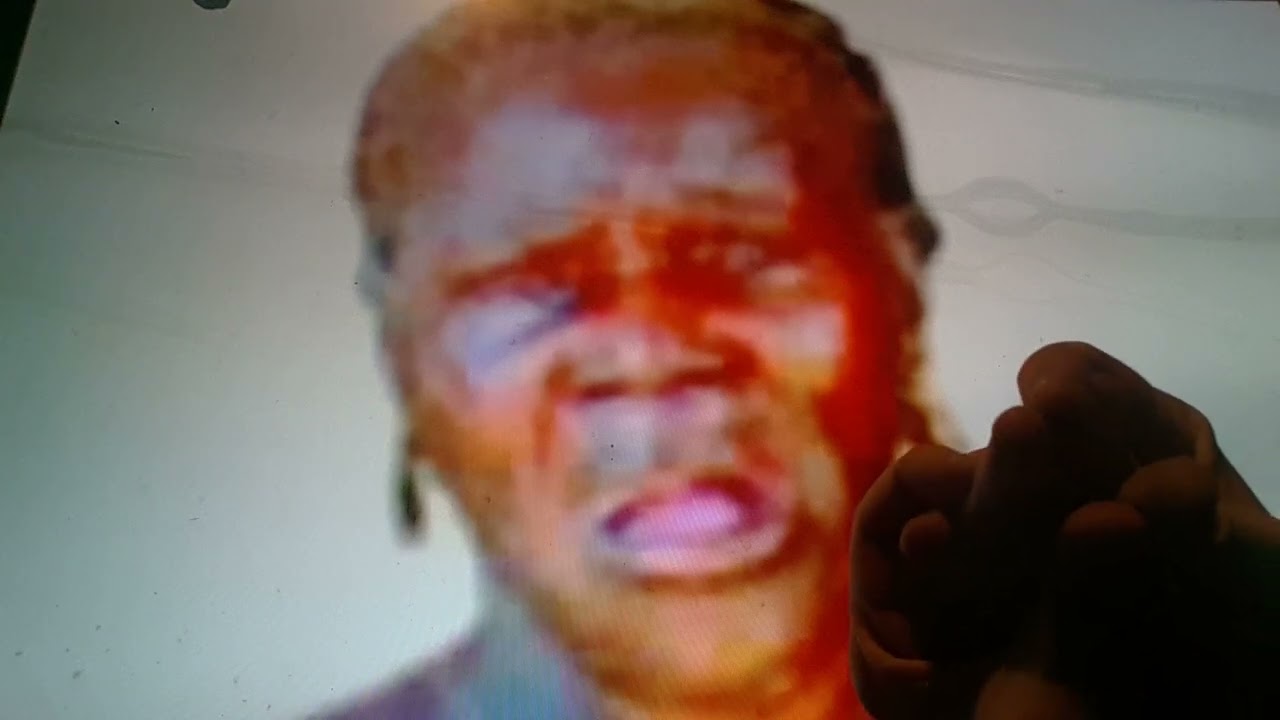 Horacio the handsnake - Ama Hemmah