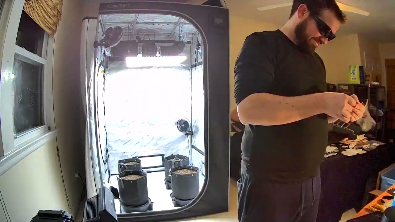 Ocean Forest Soil + Humboldt Seeds