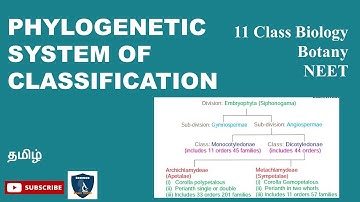 Phylogenetic System of Classification Tamil | Taxonomy & Systematic Botany I BotanyI Class 11 |NEET