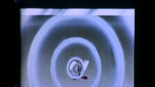 La Magia de la Fluorescencia - 1946