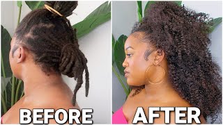 CURLY HALF UP/HALF DOWN OVER MY LOCS :: LOC STYLES :: NO RETWIST