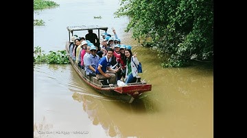 Về Cần Thơ qua Cồn Sơn hái trái cây xem cá lóc bay, ngắm cá trê hồng- Dân miền Tây