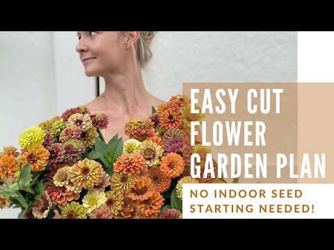 Video: Květinové zahradnictví: Jak založit květinovou zahradu