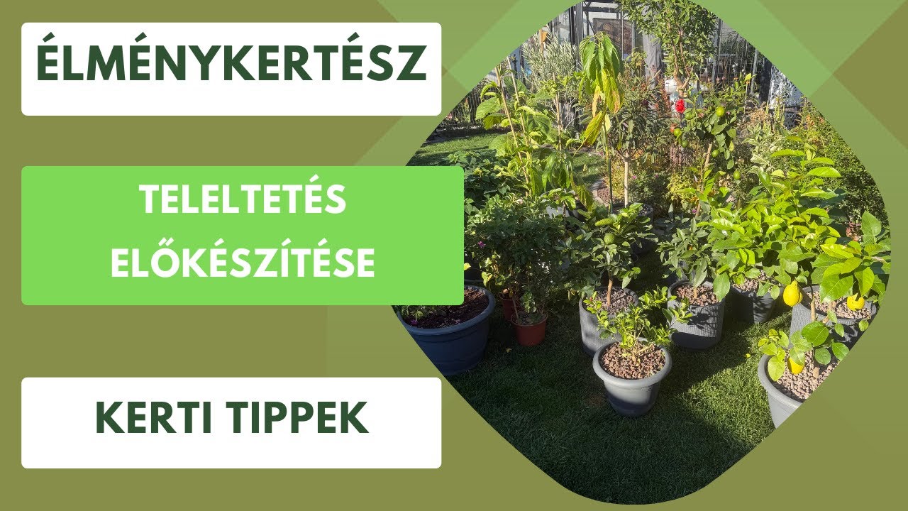 Teleltetés előtti tippek fagyérzékeny növényekhez!🌺🍋