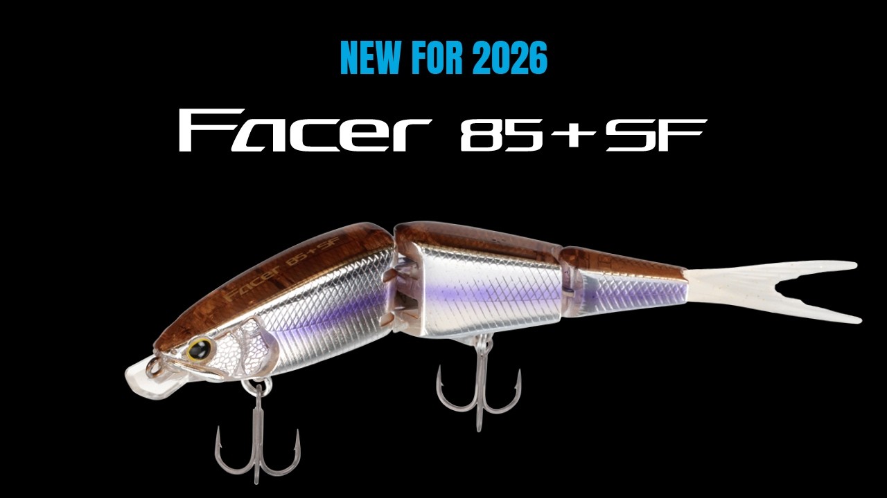 New For 2026: Shimano Facer 85+ SF - YouTube