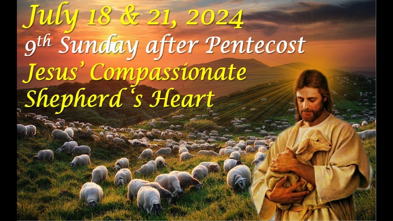 Jesus' Compassionate Shepherd's Heart