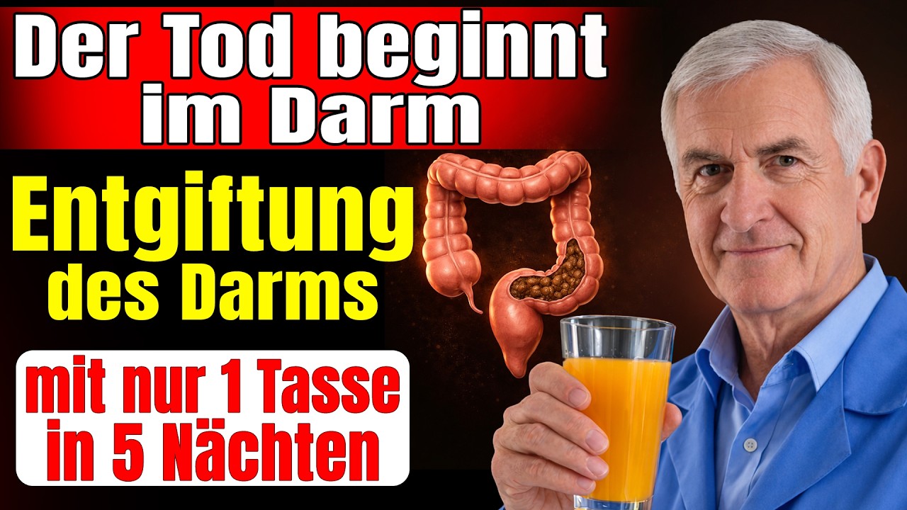 Wissenschaftler entdecken: Der Darm ist unser zweites Gehirn – ein Getränk stärkt ihn in 5 Tagen