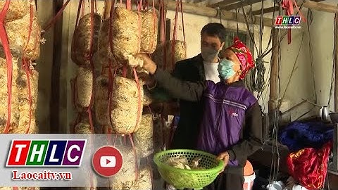 Phát huy công tác tuyên vận trong xây dựng nông thôn mới | THLC