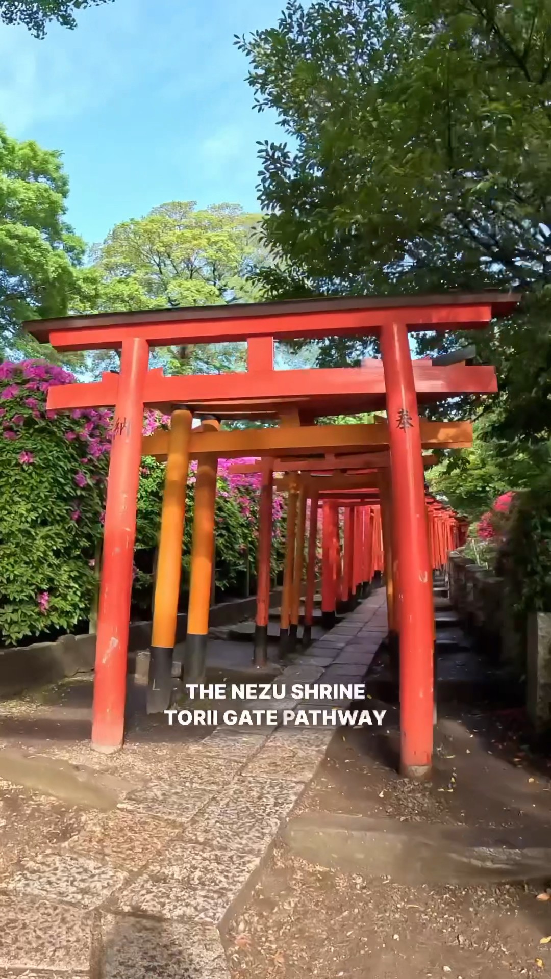 Red torii gate pathway in Tokyo!! 🇯🇵 #japantravel - YouTube