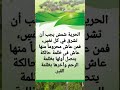 الحريه خواطر وقفه حكمه درر الكلام علم علوم رمضان