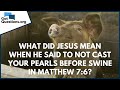 What did Jesus mean when He said to not cast your pearls before swine in Mt. 7:6? | GotQuestions.org