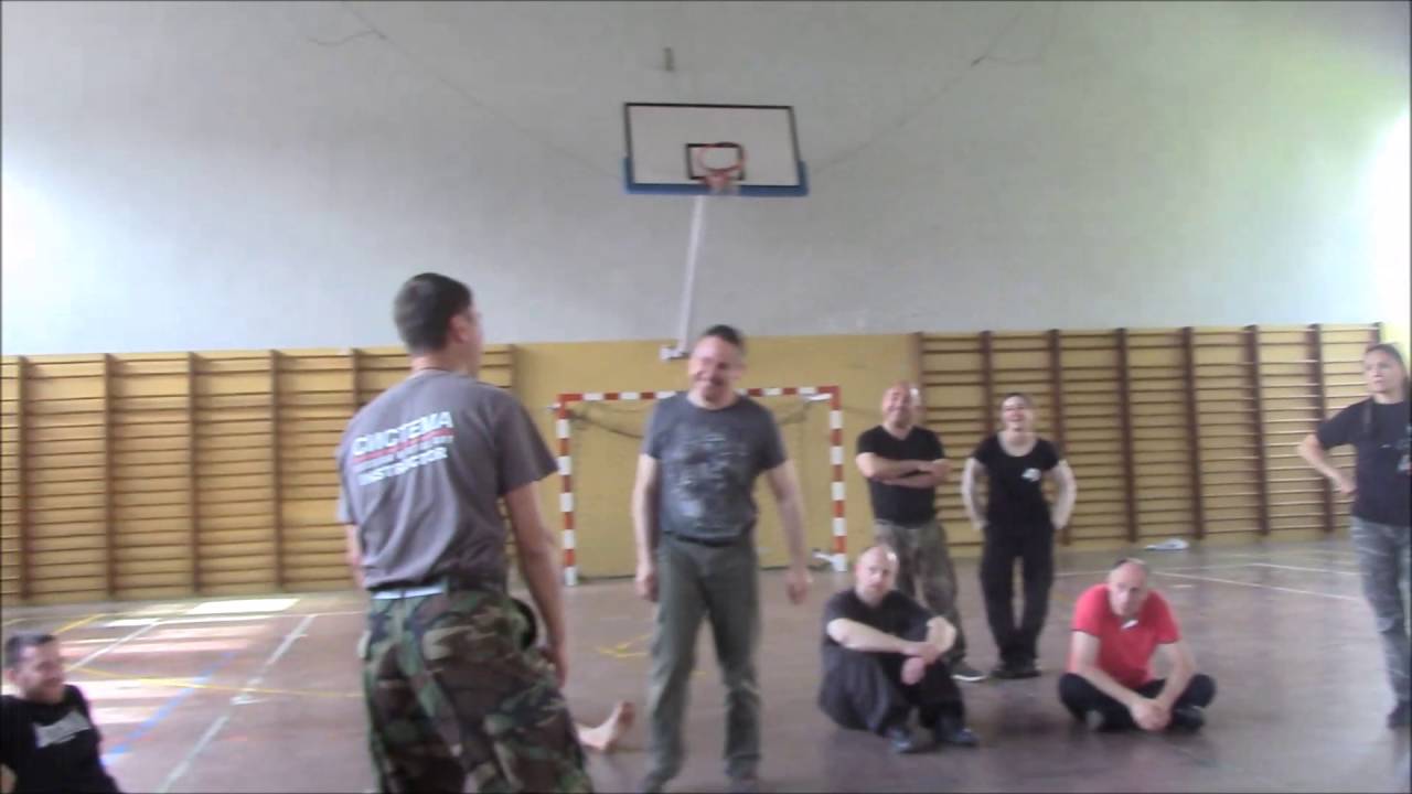 Systema Toulouse ADDAM Konstantin Komarov mai 2016 Push and body ...