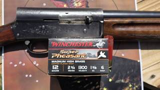 Winchester Super Pheasant 12ga 2-3/4" 1-3/8oz #6 40yd Turkey Test W/ 1952 Browning A-5