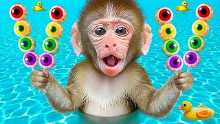 Mono JOJI hace gelatina arcoíris y nada en la piscina de sandías con patos | Mono JOJI ES