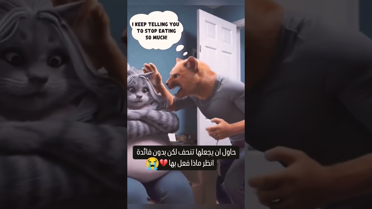 #aicat #catlovers #catvideos #kitty #meow #cats #shortstory #catmemes #youtubeshorts