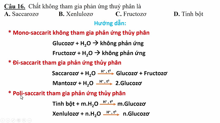 Chất nào không tham gia phản ứng thủy phân năm 2024