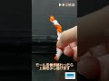 !NEW!美ら海クリスマスリースニシキアナゴ編