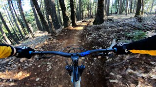 Shimmer | Checking out the new Parliament trail in Nevada City!