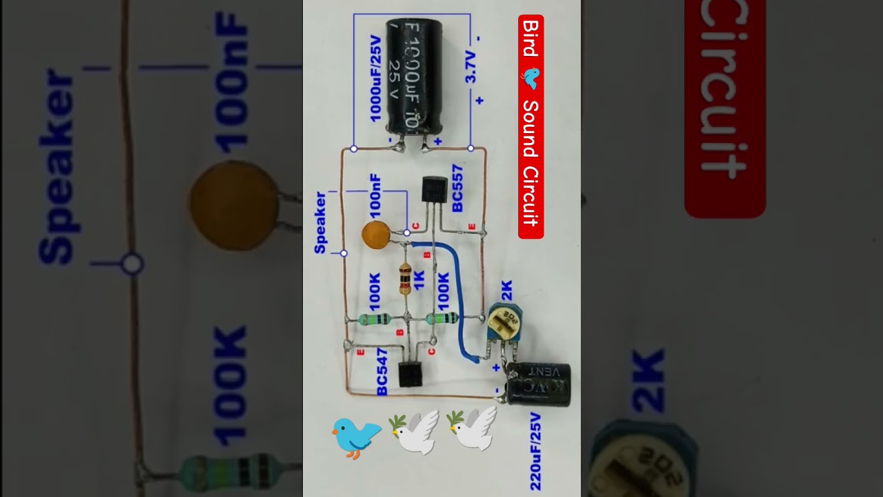 Bird 🐦 sound using BC 547 transistor 