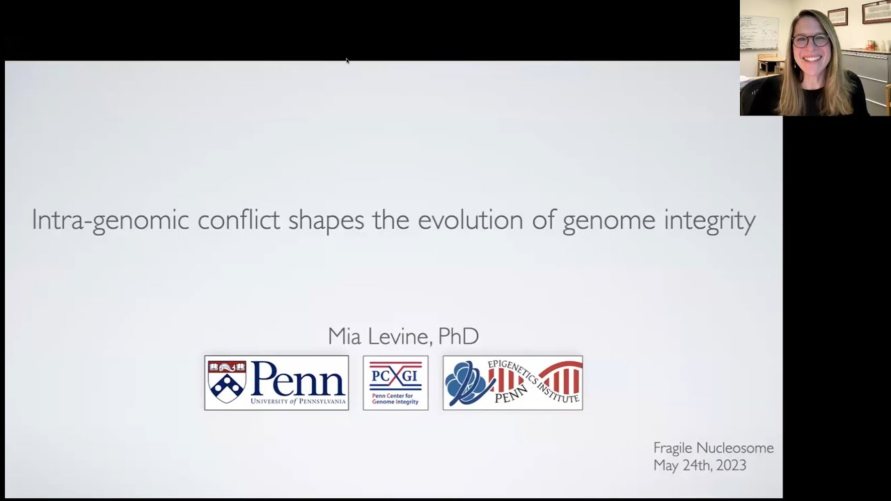Mia Levine: Intra-genomic conflict shapes the evolution of genome integrity